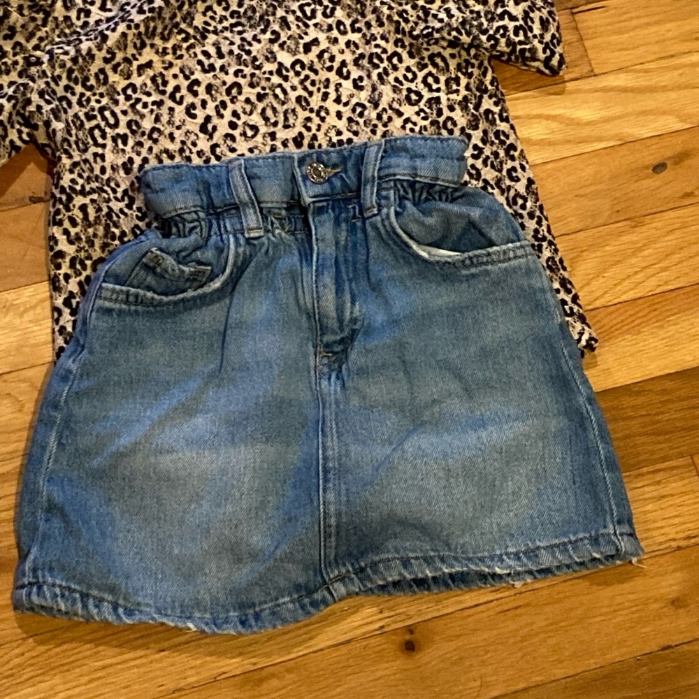 Zara Denim Skirt